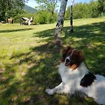 Lesniczowka Salamandra * Swieradow-Zdroj