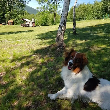 Lesniczowka Salamandra * Swieradow-Zdroj