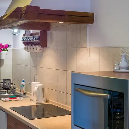 Apartmán Lesniczowka Salamandra *