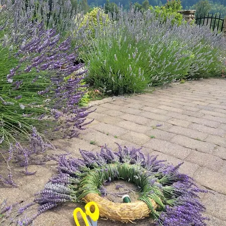 Lesniczowka Salamandra * Świeradów-Zdrój