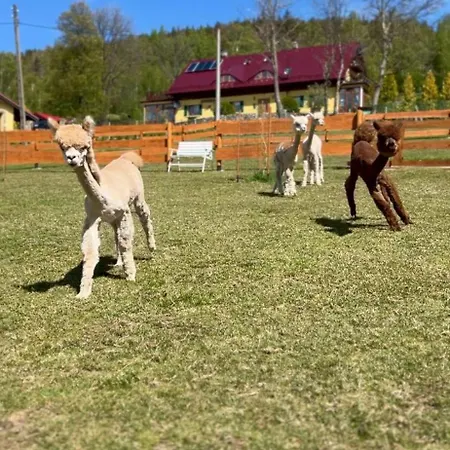 Apartmán Lesniczowka Salamandra