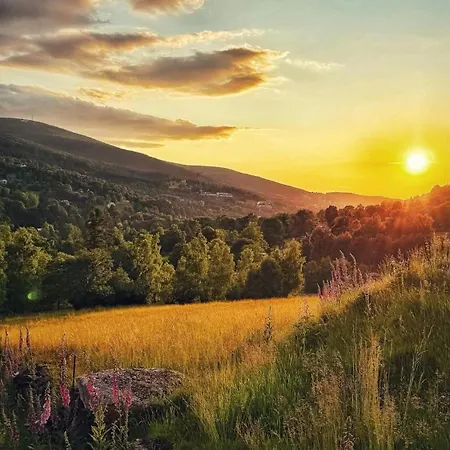 Lesniczowka Salamandra * Świeradów-Zdrój