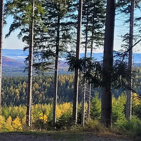 Lägenhet Lesniczowka Salamandra Świeradów-Zdrój