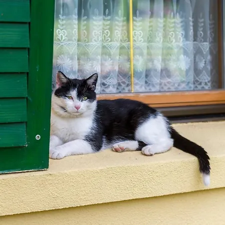 Leśniczówka Salamandra *