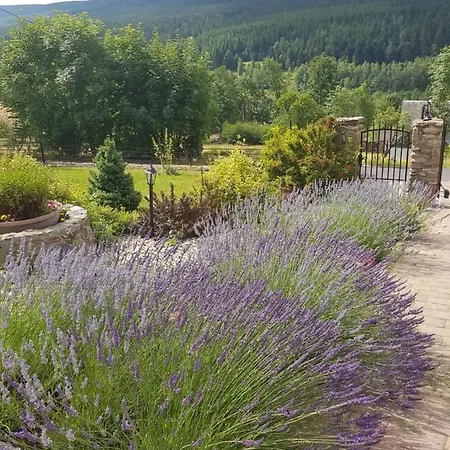 Lesniczowka Salamandra Apartmán Świeradów-Zdrój