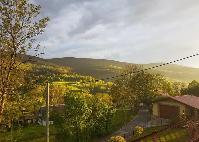 Lesniczowka Salamandra *