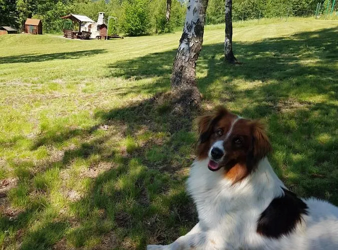 Lesniczowka Salamandra * Świeradów-Zdrój