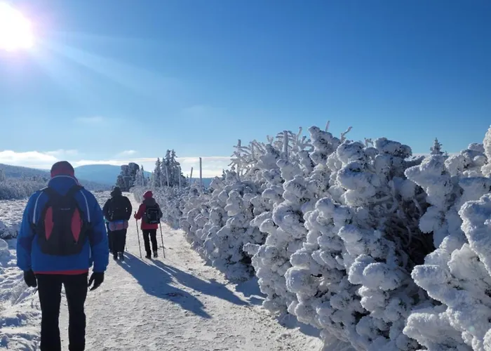 Lesniczowka Salamandra