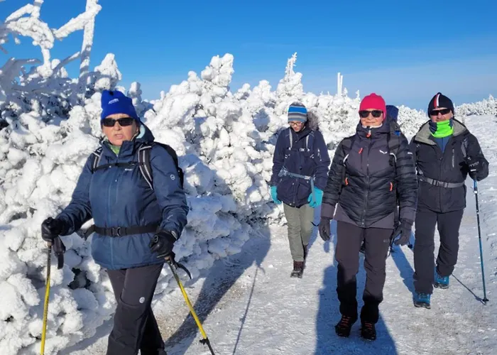 Lesniczowka Salamandra Lägenhet