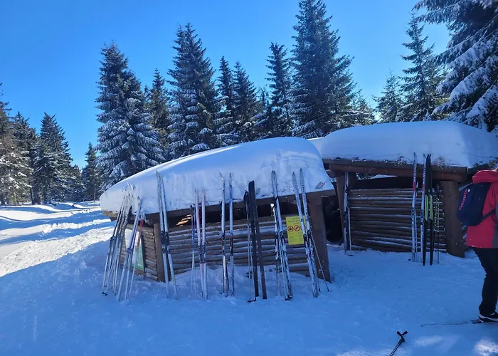 Lägenhet Lesniczowka Salamandra *
