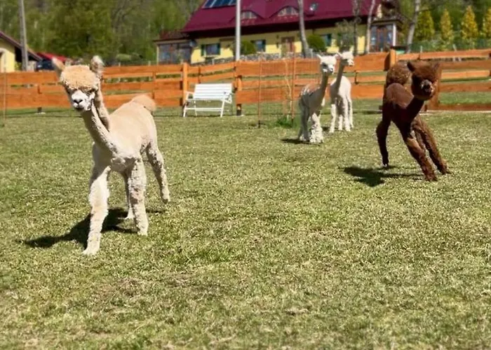 Apartment Lesniczowka Salamandra