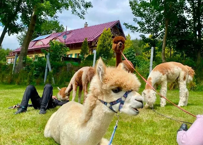 Lesniczowka Salamandra * Świeradów-Zdrój