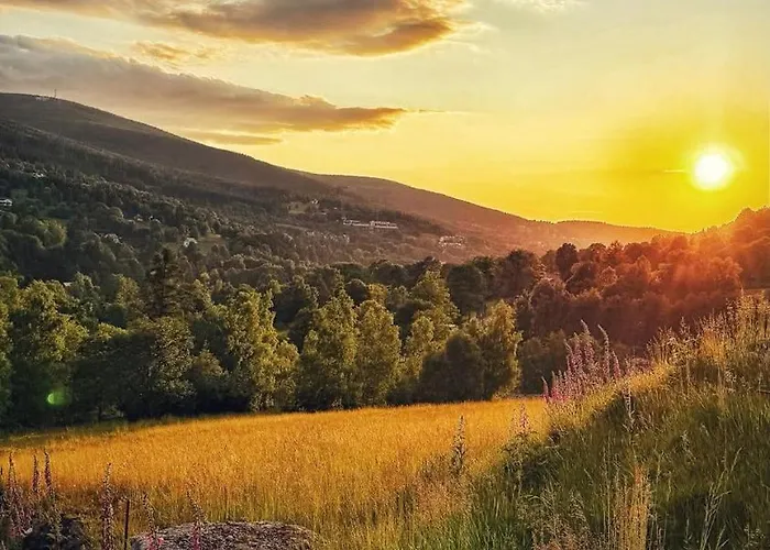 Lesniczowka Salamandra * Swieradow-Zdroj