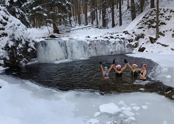 Apartment Lesniczowka Salamandra