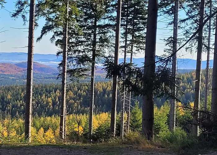 Lägenhet Lesniczowka Salamandra Świeradów-Zdrój