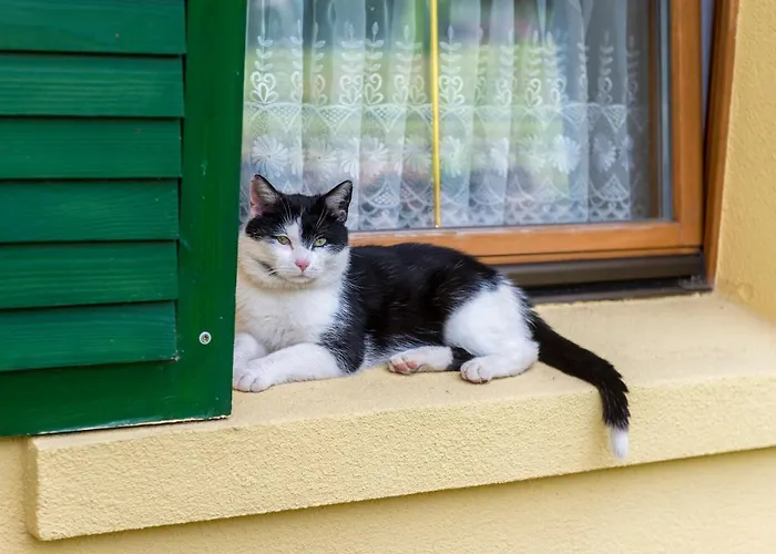 Lesniczowka Salamandra *