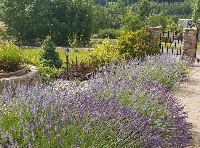 Lesniczowka Salamandra Apartment Swieradow-Zdroj